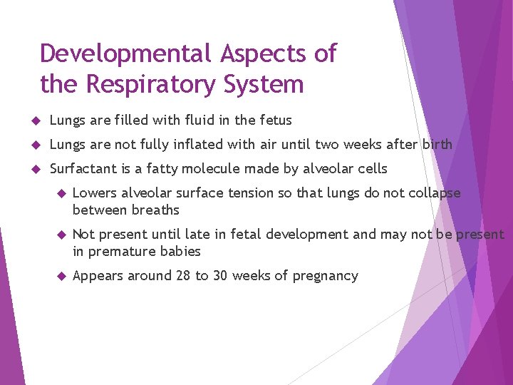 Developmental Aspects of the Respiratory System Lungs are filled with fluid in the fetus