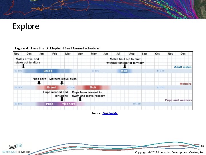 Explore Figure 4. Timeline of Elephant Seal Annual Schedule Source: Earthguide 10 Copyright ©