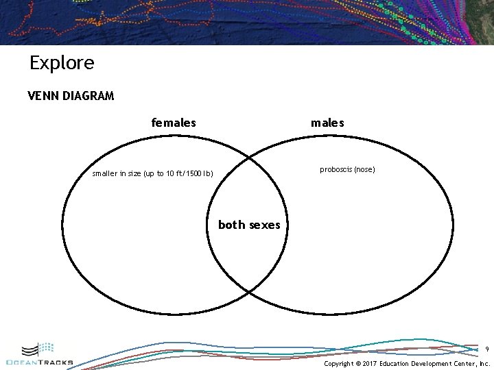 Explore VENN DIAGRAM females proboscis (nose) smaller in size (up to 10 ft/1500 lb)