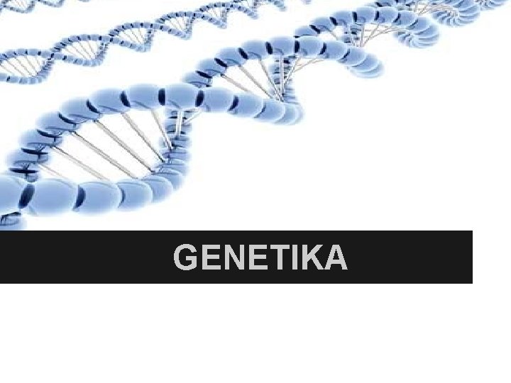 GENETIKA 