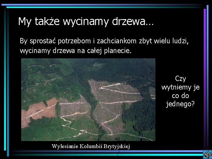 My także wycinamy drzewa… By sprostać potrzebom i zachciankom zbyt wielu ludzi, wycinamy drzewa