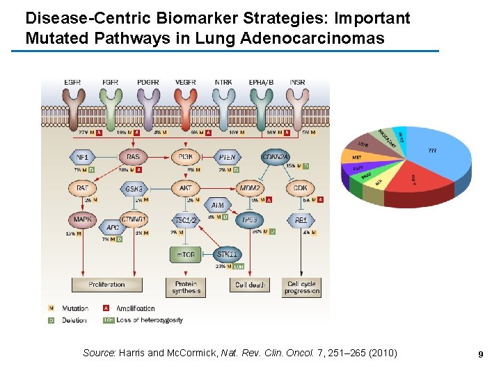 Disease-Centric Biomarker Strategies: Important Mutated Pathways in Lung Adenocarcinomas Source: Harris and Mc. Cormick,