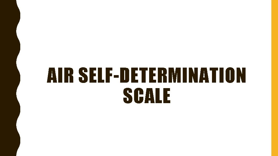 AIR SELF-DETERMINATION SCALE 