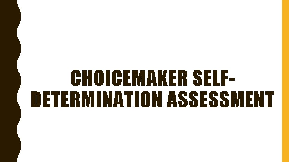 CHOICEMAKER SELFDETERMINATION ASSESSMENT 