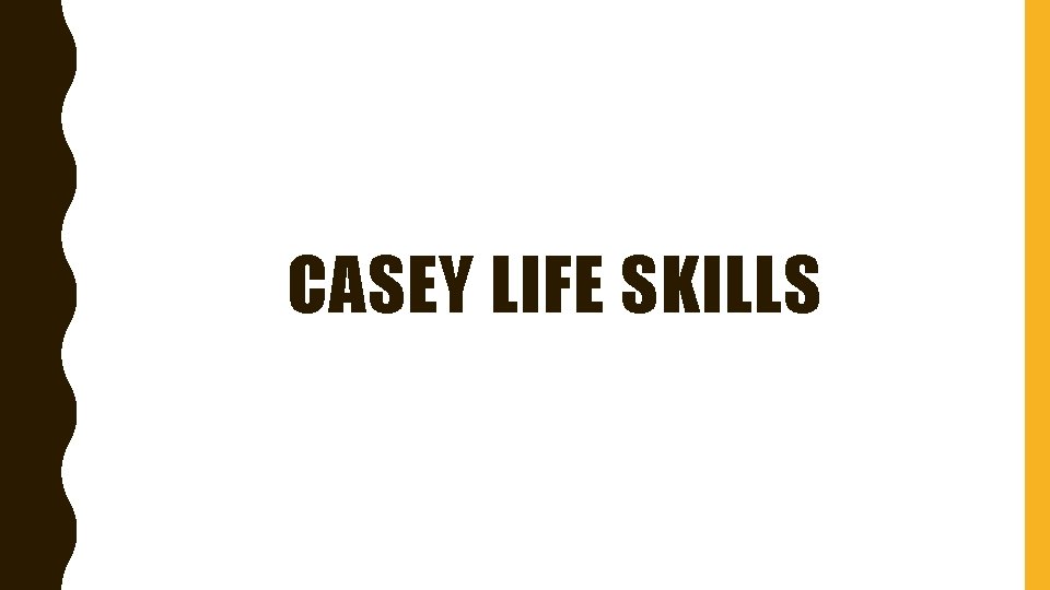 CASEY LIFE SKILLS 
