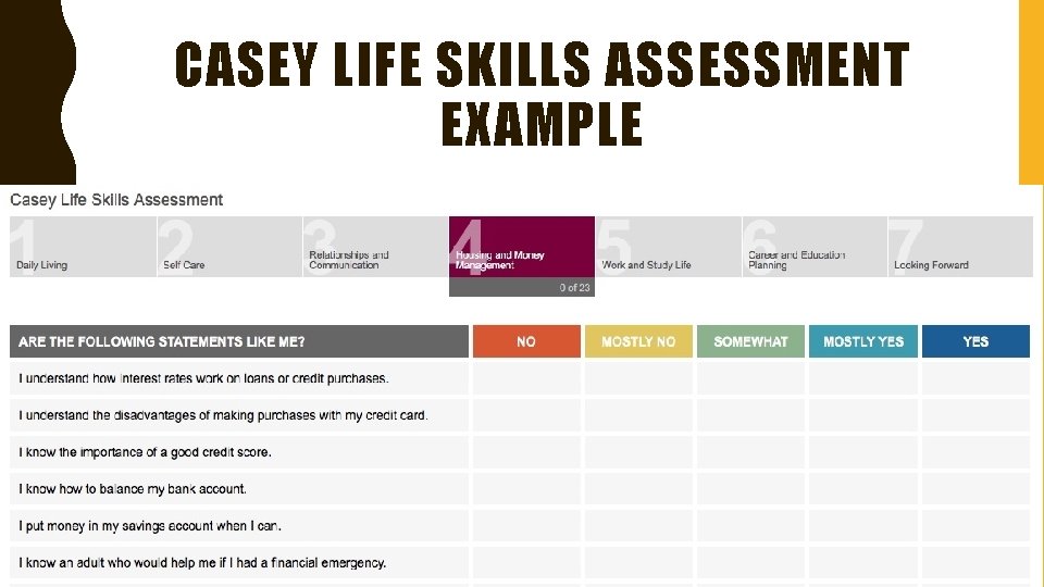 CASEY LIFE SKILLS ASSESSMENT EXAMPLE 