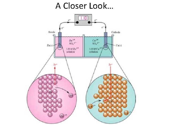 A Closer Look… A Closer Look…