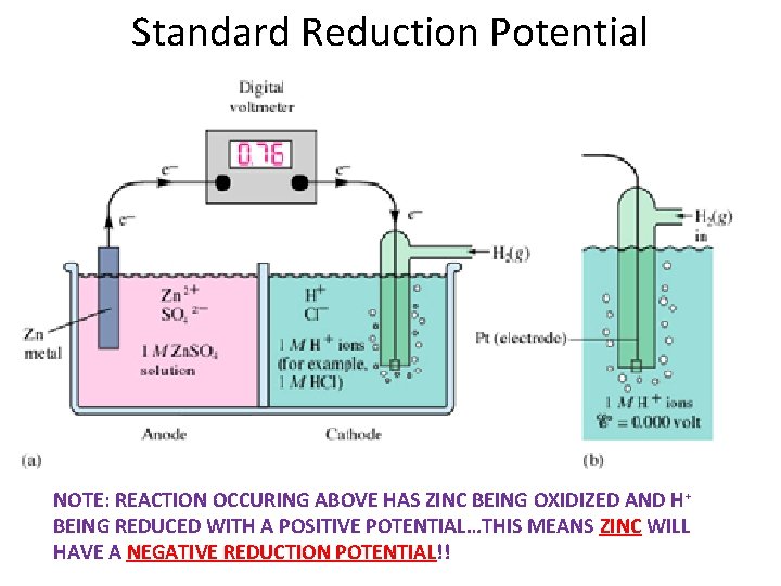 Standard Reduction Potential NOTE: REACTION OCCURING ABOVE HAS ZINC BEING OXIDIZED AND H+ BEING Standard Reduction Potential NOTE: REACTION OCCURING ABOVE HAS ZINC BEING OXIDIZED AND H+ BEING
