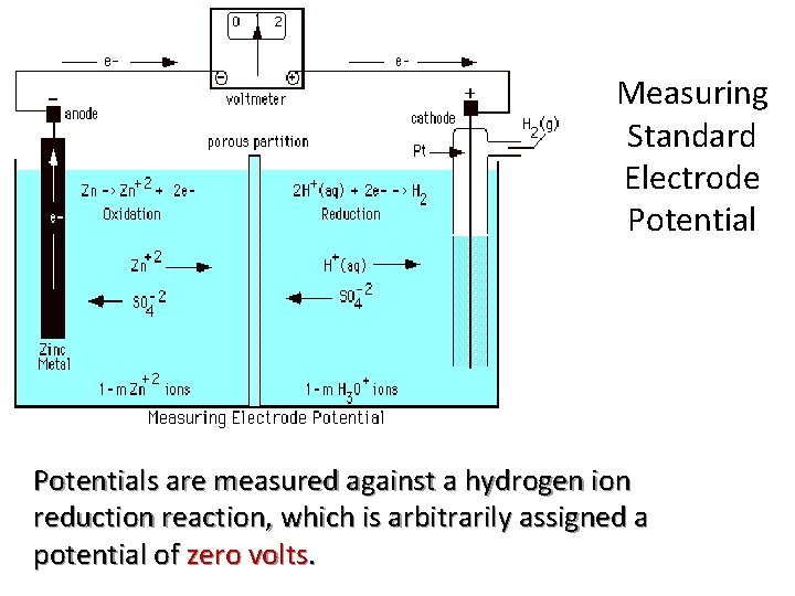 Measuring Standard Electrode Potentials are measured against a hydrogen ion reduction reaction, which is Measuring Standard Electrode Potentials are measured against a hydrogen ion reduction reaction, which is