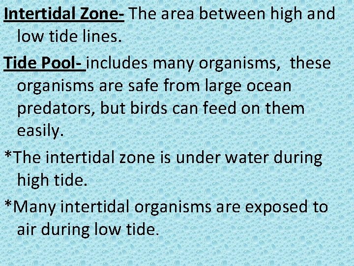 Intertidal Zone- The area between high and low tide lines. Tide Pool- includes many