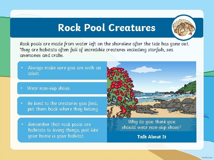 Rock Pool Creatures Rock pools are made from water left on the shoreline after