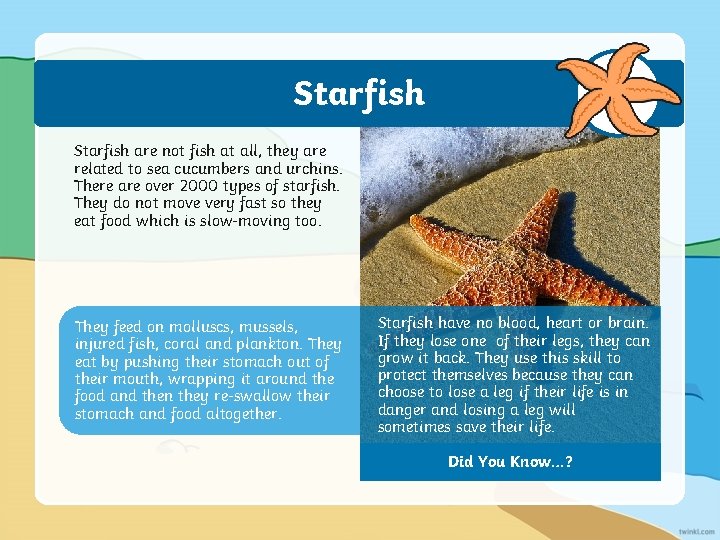 Starfish are not fish at all, they are related to sea cucumbers and urchins.