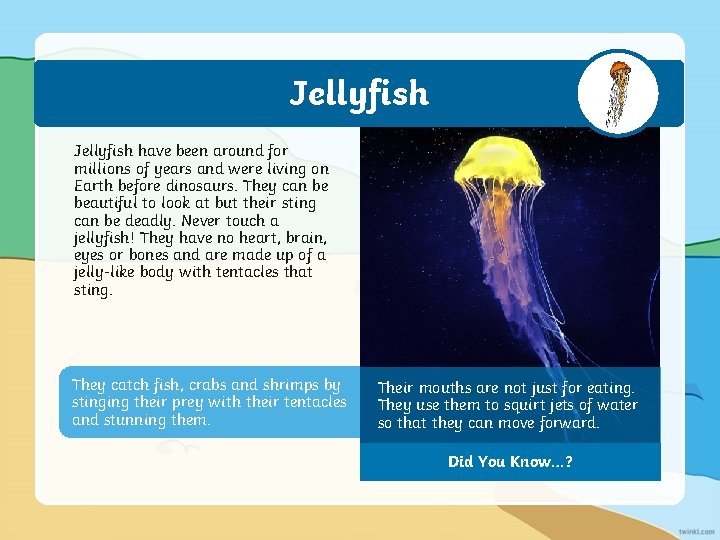 Jellyfish have been around for millions of years and were living on Earth before