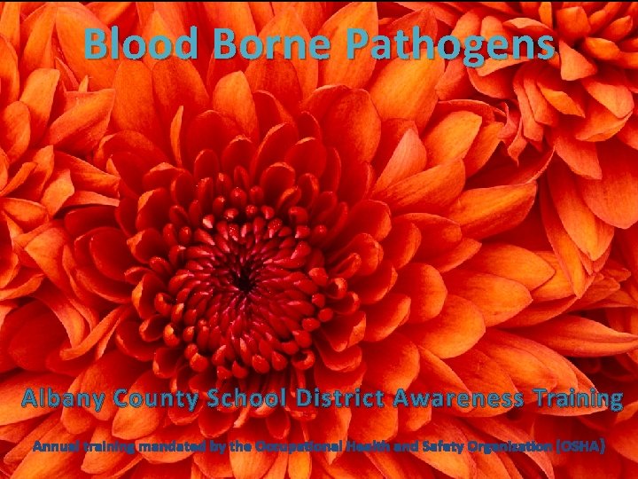 Blood Borne Pathogens Bloodborne Pathogens awareness training Albany County School District Awareness Training Annual