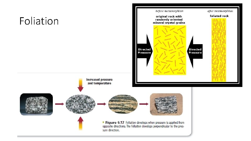 Foliation 