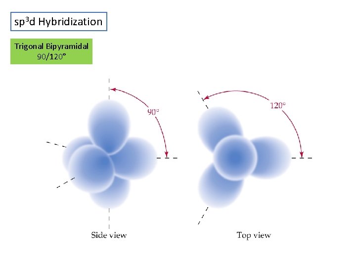 sp 3 d Hybridization Trigonal Bipyramidal 90/120° 