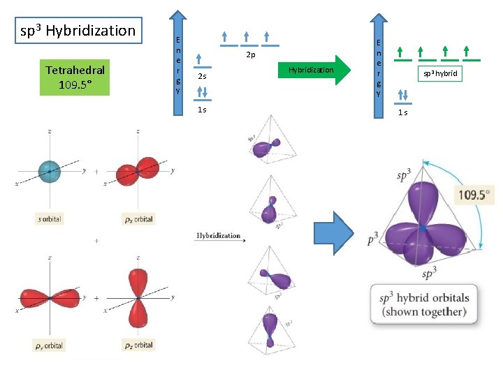 sp 3 Hybridization Tetrahedral 109. 5° E n e r g y 2 p