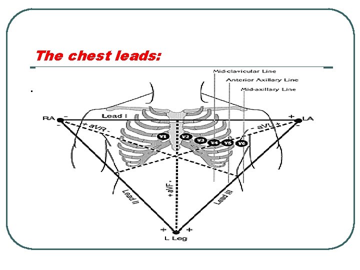 The chest leads: . 