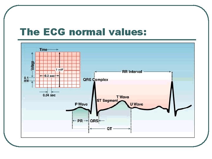 The ECG normal values: 