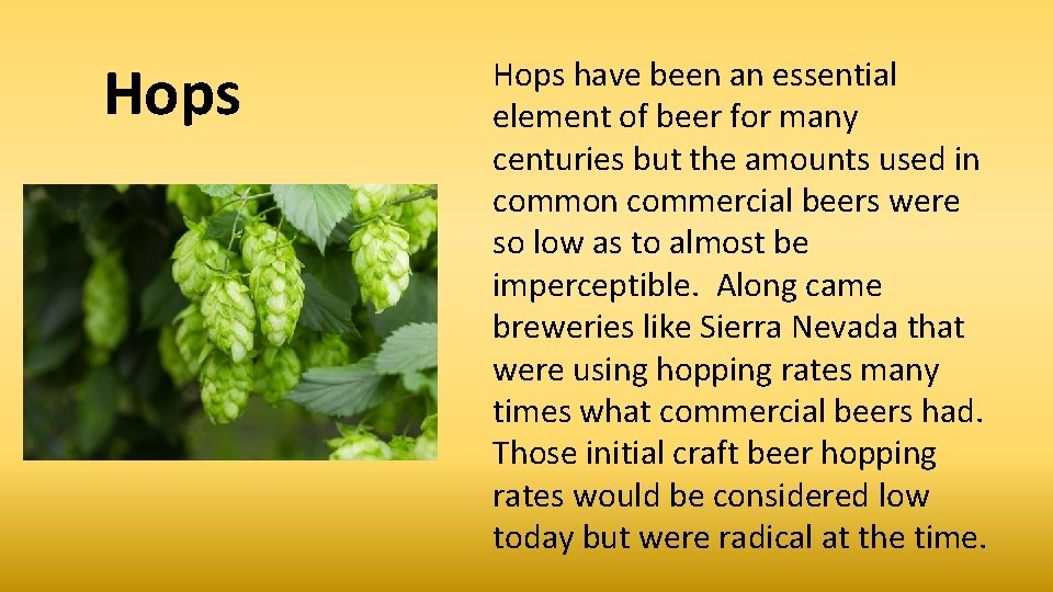 Hops have been an essential element of beer for many centuries but the amounts