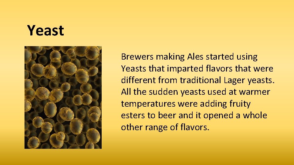 Yeast Brewers making Ales started using Yeasts that imparted flavors that were different from