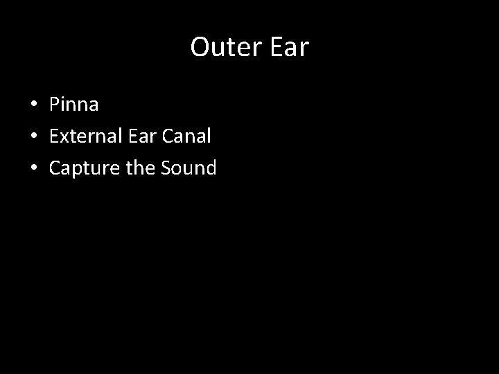 Outer Ear • Pinna • External Ear Canal • Capture the Sound 