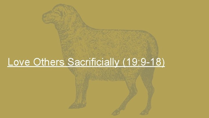 Love Others Sacrificially (19: 9 -18) 