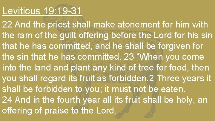 Leviticus 19: 19 -31 22 And the priest shall make atonement for him with