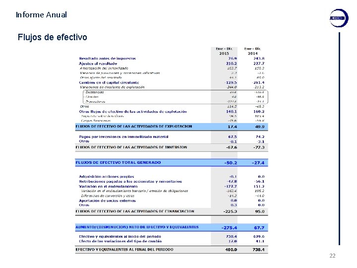 Informe Anual Flujos de efectivo 22 
