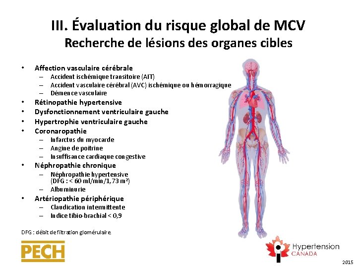 III. Évaluation du risque global de MCV Recherche de lésions des organes cibles •