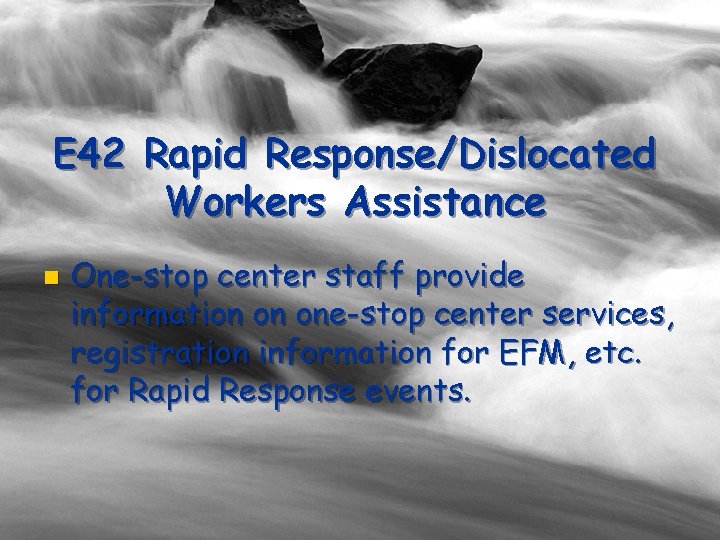 E 42 Rapid Response/Dislocated Workers Assistance n One-stop center staff provide information on one-stop