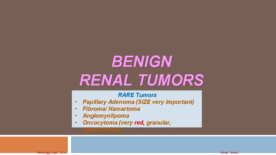 BENIGN RENAL TUMORS • • Pathology Dept , KSU RARE Tumors Papillary Adenoma (SIZE
