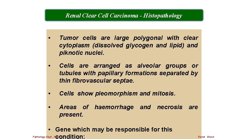 Renal Clear Cell Carcinoma - Histopathology • Tumor cells are large polygonal with clear