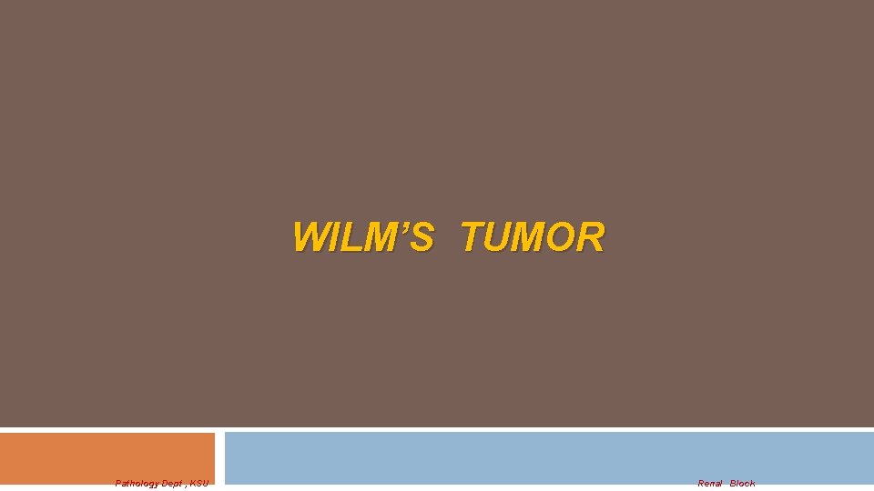 WILM’S TUMOR Pathology Dept , KSU Renal Block 