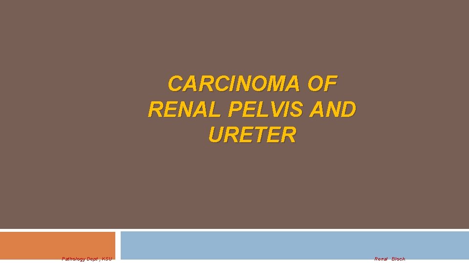CARCINOMA OF RENAL PELVIS AND URETER Pathology Dept , KSU Renal Block 