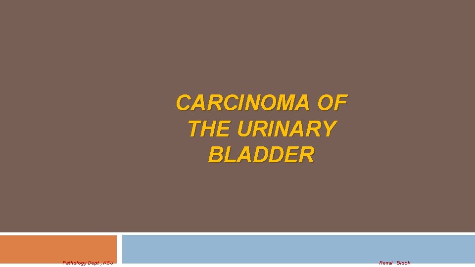 CARCINOMA OF THE URINARY BLADDER Pathology Dept , KSU Renal Block 