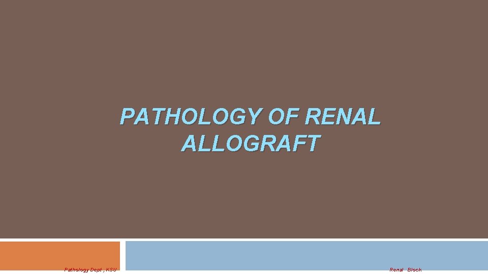 PATHOLOGY OF RENAL ALLOGRAFT Pathology Dept , KSU Renal Block 