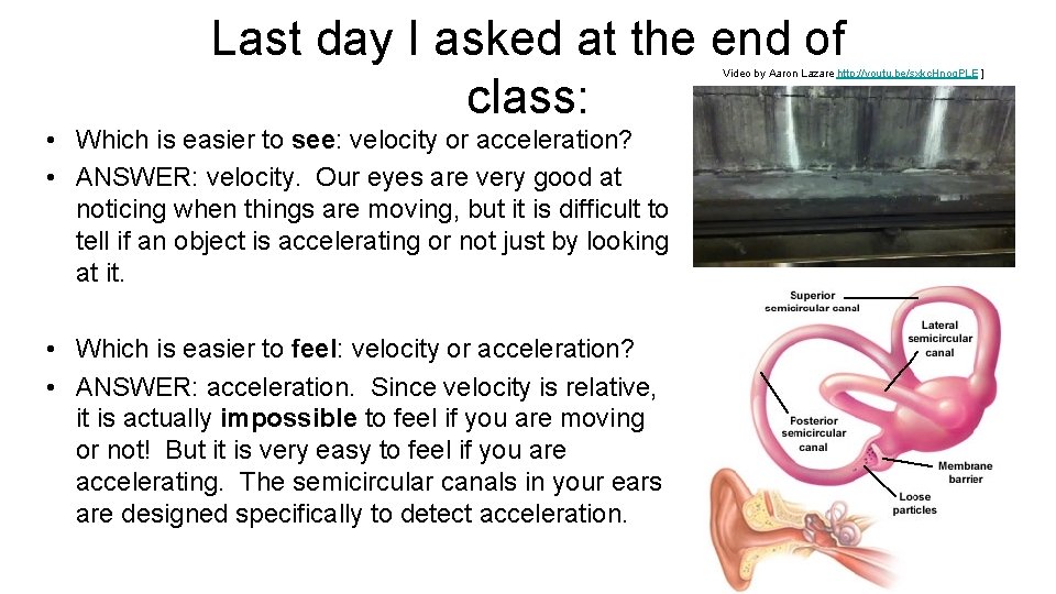 Last day I asked at the end of class: Video by Aaron Lazare http: