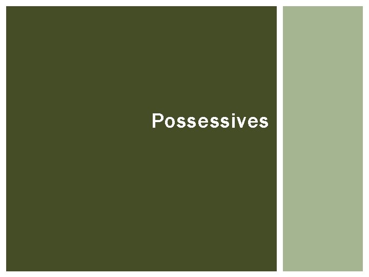 Possessives 