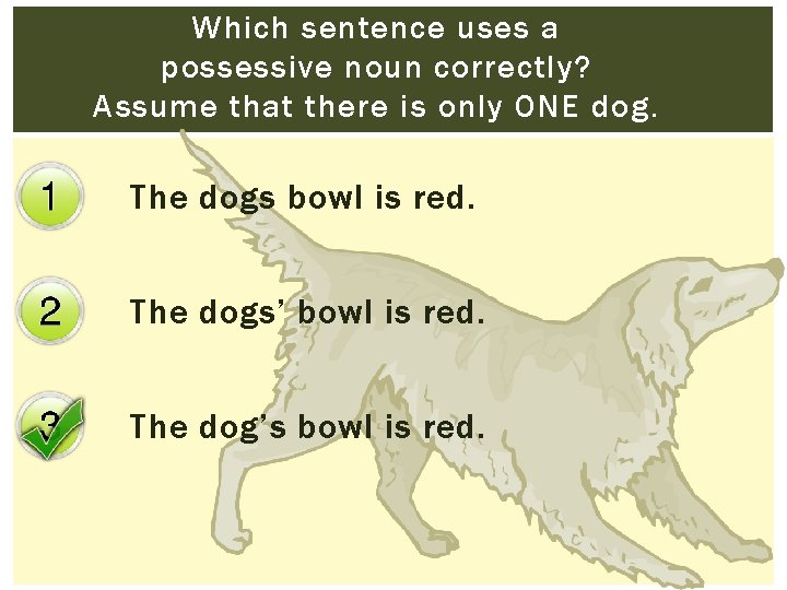 Which sentence uses a possessive noun correctly? Assume that there is only ONE dog.