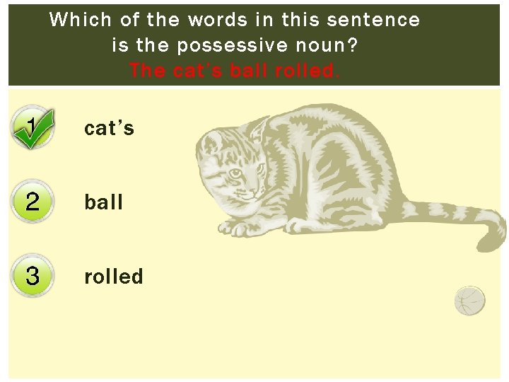 Which of the words in this sentence is the possessive noun? The cat’s ball