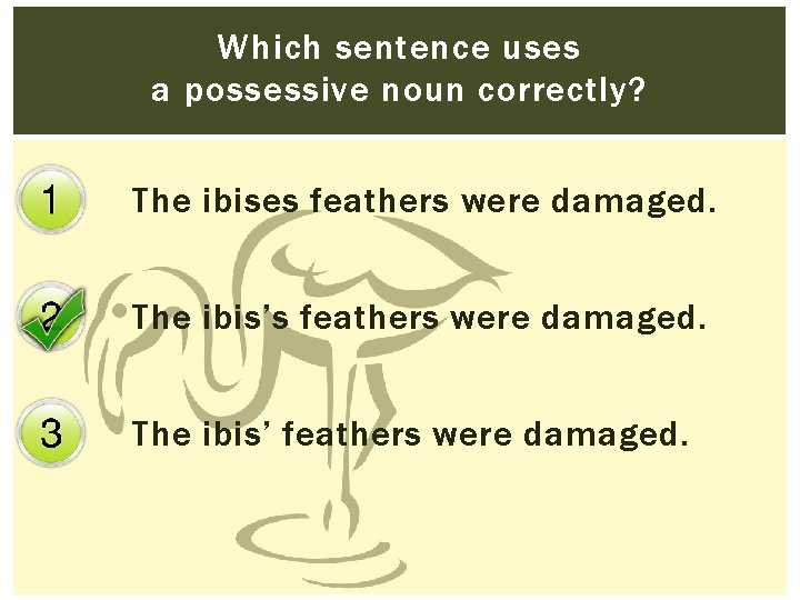 Which sentence uses a possessive noun correctly? The ibises feathers were damaged. The ibis’