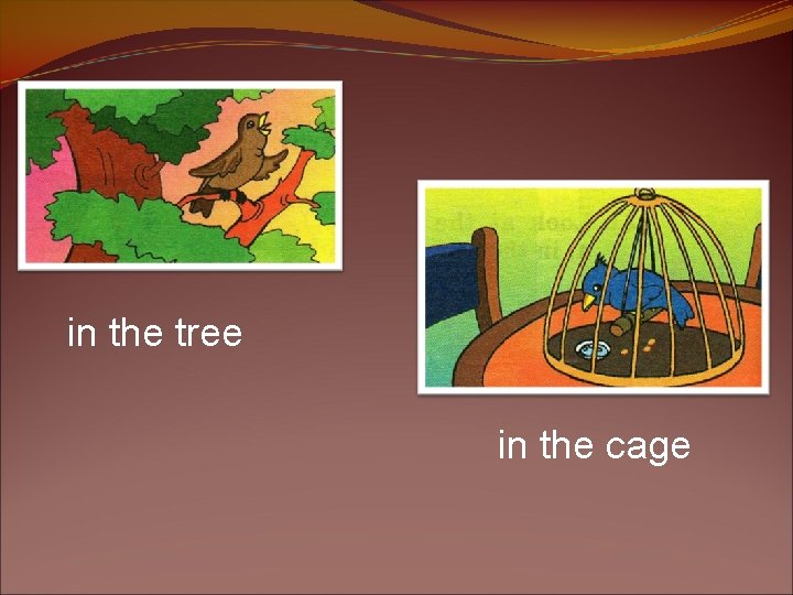 in the tree in the cage 