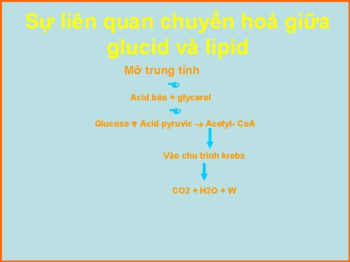 Sự liên quan chuyển hoá giữa glucid và lipid Mỡ trung tính Acid béo Sự liên quan chuyển hoá giữa glucid và lipid Mỡ trung tính Acid béo