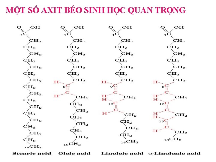 MỘT SỐ AXIT BÉO SINH HỌC QUAN TRỌNG MỘT SỐ AXIT BÉO SINH HỌC QUAN TRỌNG