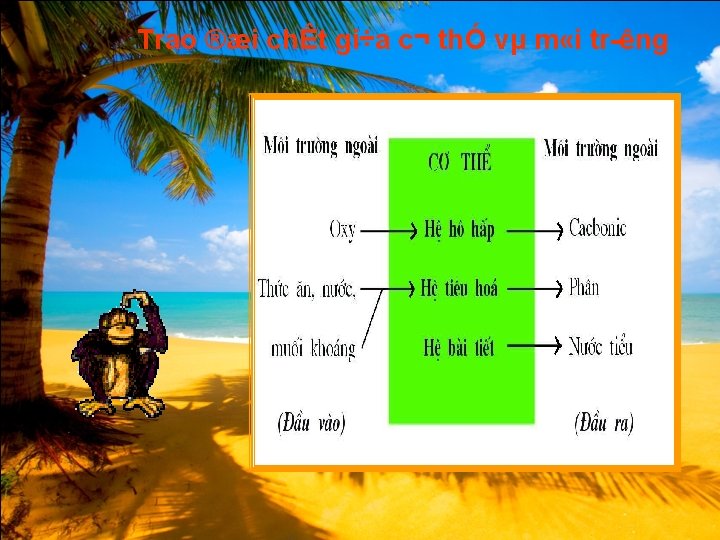 Trao ®æi chÊt gi÷a c¬ thÓ vµ m «i tr êng Trao ®æi chÊt gi÷a c¬ thÓ vµ m «i tr êng