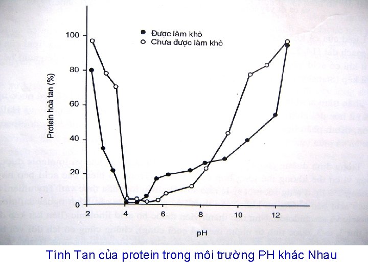 Tính Tan của protein trong môi trường PH khác Nhau Tính Tan của protein trong môi trường PH khác Nhau