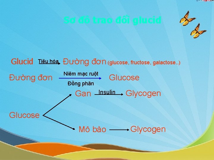 Sơ đồ trao đổi glucid Glucid Tiêu hóa Đường đơn (glucose, fructose, galactose. . Sơ đồ trao đổi glucid Glucid Tiêu hóa Đường đơn (glucose, fructose, galactose. .