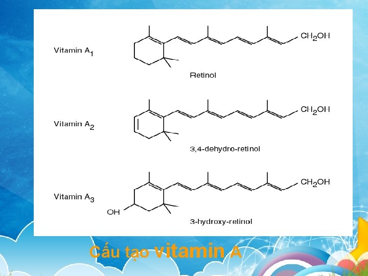 Cấu tạo vitamin A Cấu tạo vitamin A
