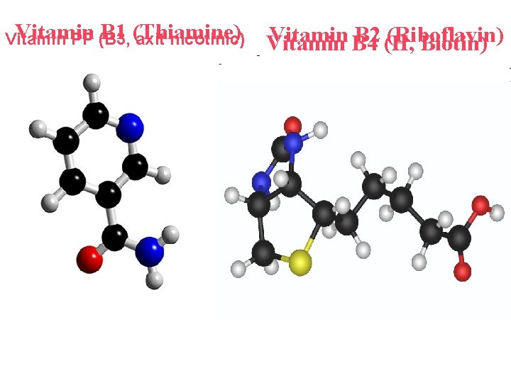 Vitamin B 1 (Thiamine) Vitamin PP (B 3, axit nicotinic) Vitamin B 4 B Vitamin B 1 (Thiamine) Vitamin PP (B 3, axit nicotinic) Vitamin B 4 B